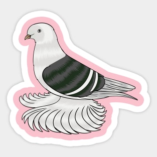 Saxon Shield pigeon bird cartoon illustration Sticker